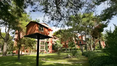 The Norm Oriental Kemer