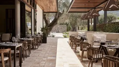 THE OLIVAR SUITES