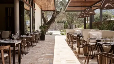 The Olivar Suites