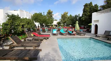 The Orangers Beach Resort & Bungalows 4