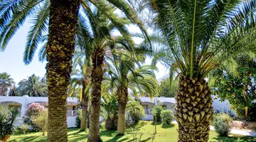 The Orangers Beach Resort & Bungalows
