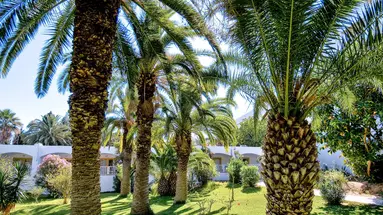 The Orangers Beach Resort & Bungalows