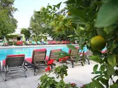 The Orangers Beach Resort & Bungalows