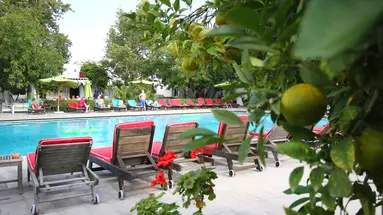 THE ORANGERS BEACH RESORT & BUNGALOWS