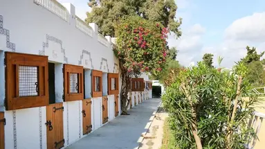The Orangers Beach Resort & Bungalows