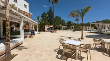 The Palm Star Ibiza