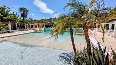 The Palm Star Ibiza