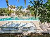 The Palm Star Ibiza