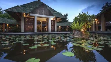 The Palms