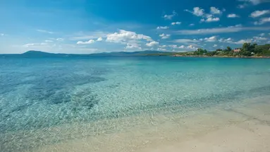 The Pelican Beach
