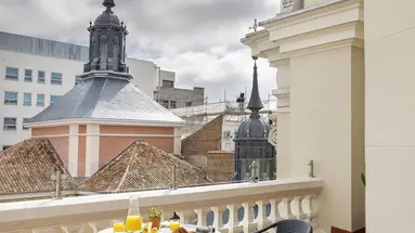 The Principal Madrid