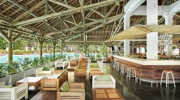 The Ravenala Attitude