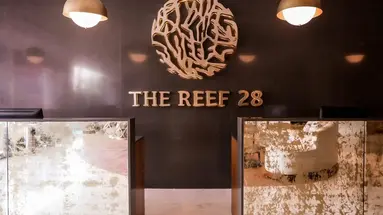 The Reef 28