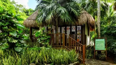 The Reef Playacar Beach Resort & Spa