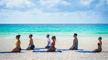 The Reef Playacar