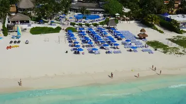 The Reef Playacar