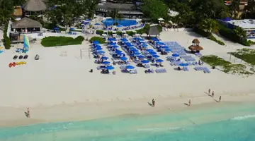 The Reef Playacar