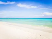 The Reef Playacar
