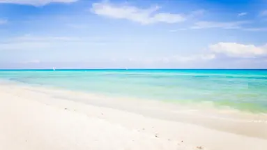 The Reef Playacar