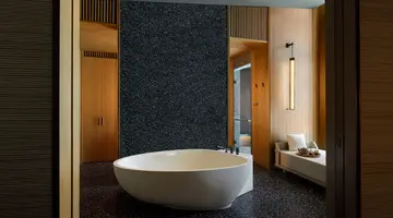 The Ritz Carlton Maldives 5