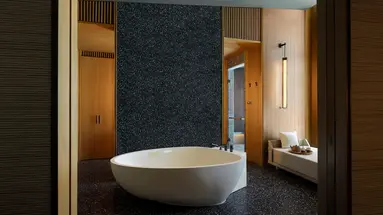 The Ritz Carlton Maldives 5