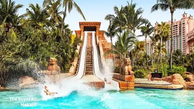 The Royal at Atlantis
