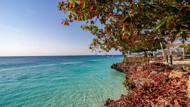 THE ROYAL ZANZIBAR BEACH RESORT