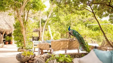 The Sands At Chale Island