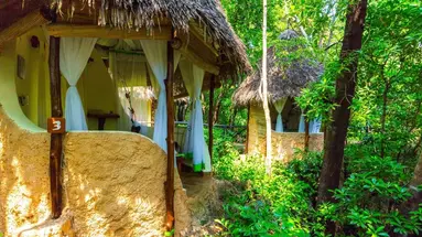 The Sands At Chale Island