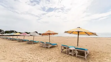 The Sands At Chale Island