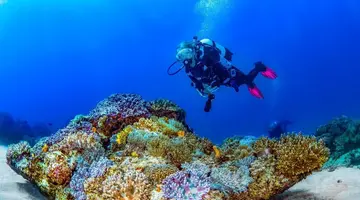 THE SANDS AT NOMAD