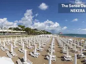 THE SENSE DELUXE
