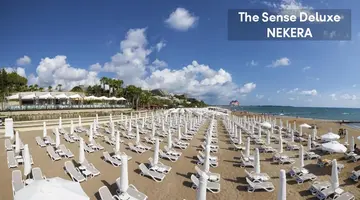 THE SENSE DELUXE