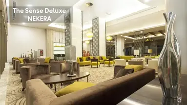 THE SENSE DELUXE