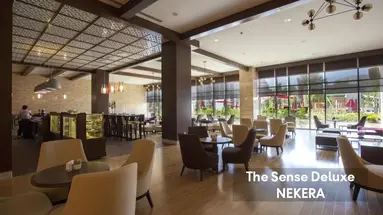 THE SENSE DELUXE