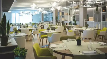 THE SENSE EXPERIENCE RESORT