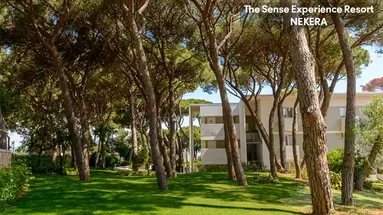 THE SENSE EXPERIENCE RESORT