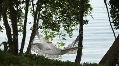 The ShellSea Krabi