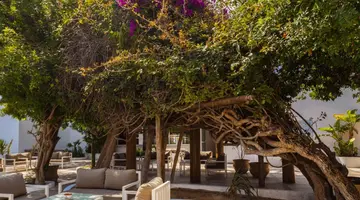 The Sindbad Hotel