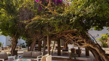 The Sindbad Hotel