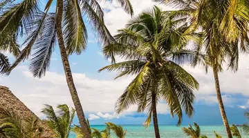 The Soul Zanzibar Beach Hotel & Spa