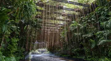 The St. Regis Bali Resort