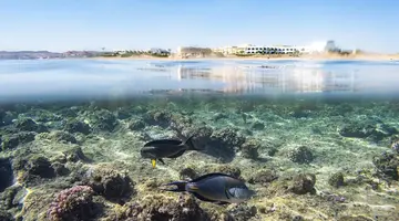 The Three Corners Equinox Beach Resort
