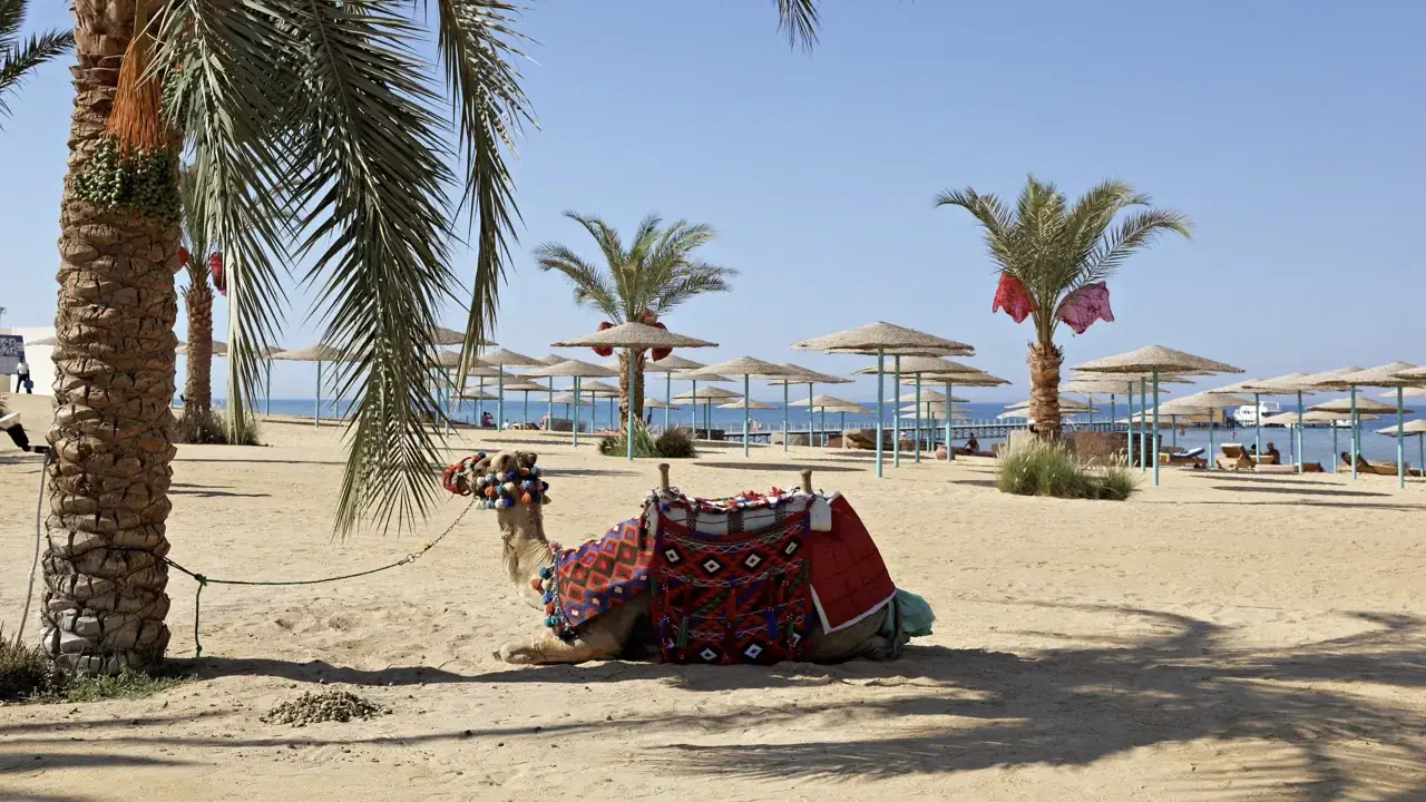 The Three Corners Sunny Beach