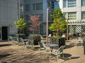 The Tillary Hotel Brooklyn