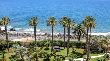 The Views Oasis