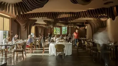 The Vine Hotel