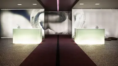 The Vine