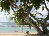The Westin Turtle Bay Resort & SPA Mauritius