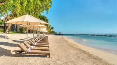 THE WESTIN TURTLE BAY RESORT & SPA